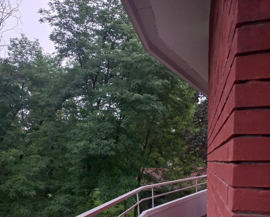 Lake Maggiore 2 Minutes Apartment Dormelletto Exteriör bild